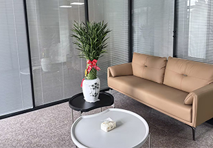 Office Environment 4
